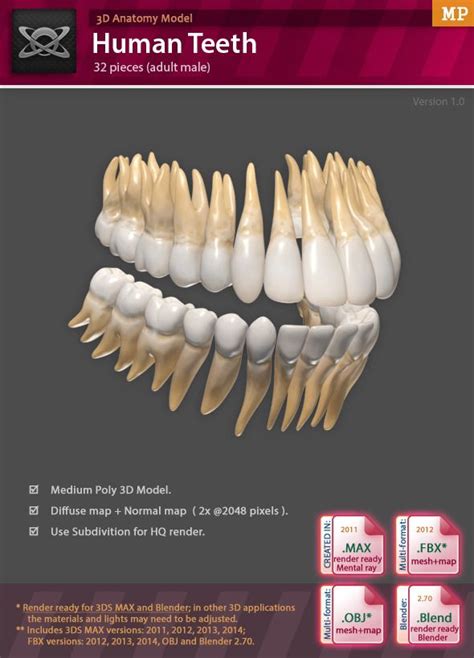 Pin on 3D-Modeling