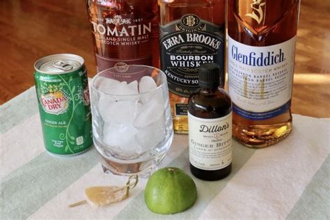 Easy Whiskey and Ginger Ale Cocktail Drink Recipe | dobbernationLOVES