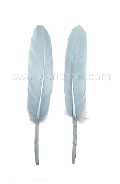 Wholesale Duck Feathers | Duck Wing Feathers