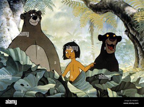 THE JUNGLE BOOK, Mowgli, Baloo, Bagheera, 1967, Walt Disney Courtesy of ...