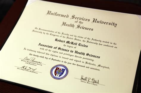 Undergraduate degree