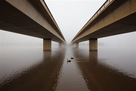 Under the Bridge Photography