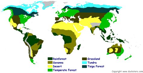 Major World Biomes Map