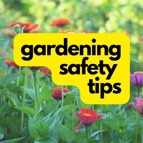 5 Gardening Safety Tips That Will Save -Organic Gardening