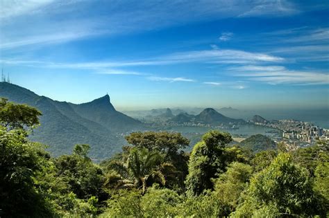 Brazil Nature Tours – Travel through Brazil and its vast nature