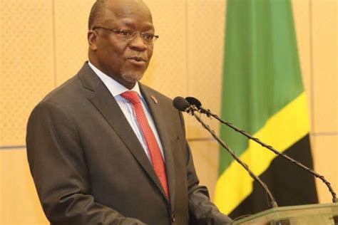 Magufuli: I will surprise Tanzanians with more work | The Citizen