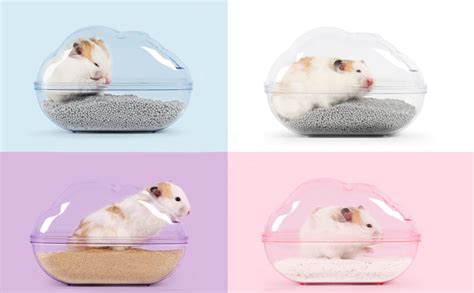 BUCATSTATE Large Hamster Sand Bath Container Transparent Clouds Hamster ...