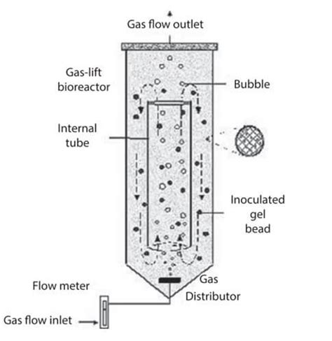 bioreactor parts and their functions - Keith Smith