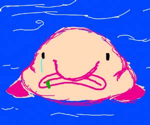 Blobfish - Drawception