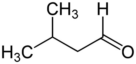 Example of Aldehydes – LORECENTRAL