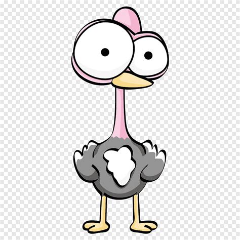 Gray and pink animal illustration, Common ostrich Cartoon Drawing ...