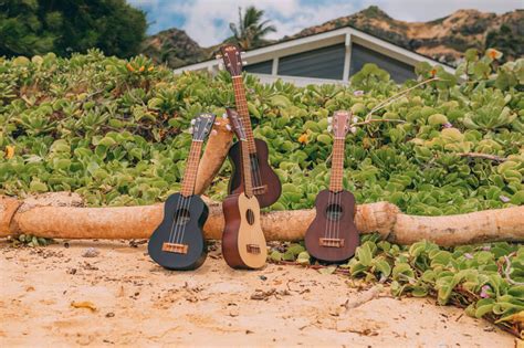 The 6 best ukulele brands in 2024 (and those to avoid)