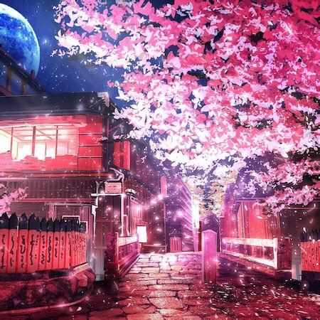 sakura night | Wallpapers HDV