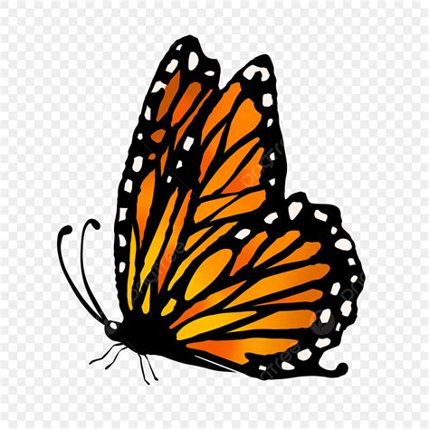 Kreskówka Motyl Monarcha Clipart Pomarańczowy Motyl, Monarch Butterfly ...