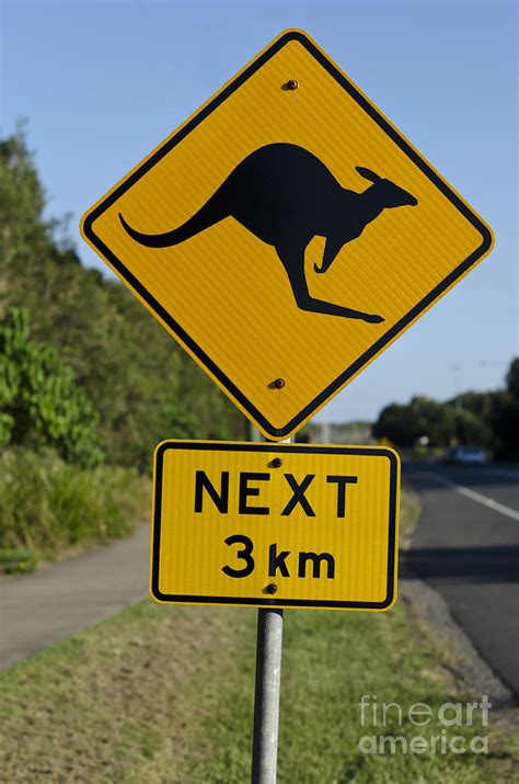 Kangaroo road sign Photograph by Istvan Fekete | Fine Art America