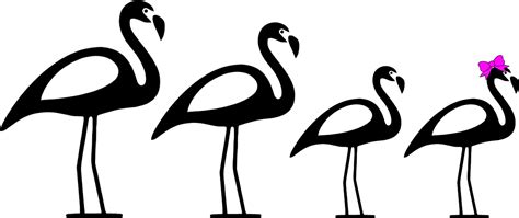 Flamingo Clip Art Black And White - Png Download - Full Size Clipart ...