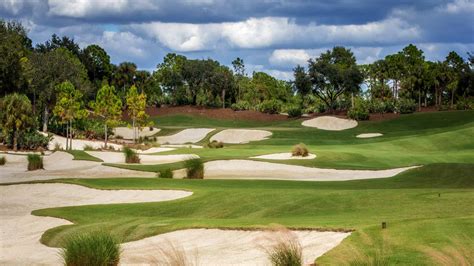 Calusa Pines, Naples, Florida - Golf course information and reviews.