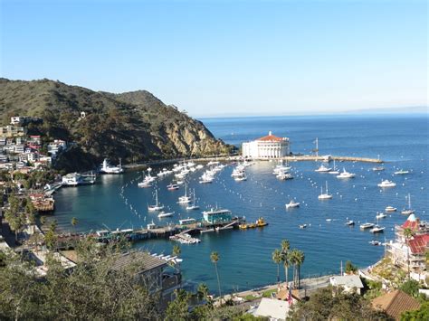 Family Vacation Southern California | Things To Do in Santa Catalina Island with Kids | Tips for ...