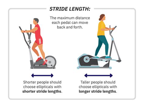 Best Compact Elliptical Blog: Elliptical Machine Muscle Groups