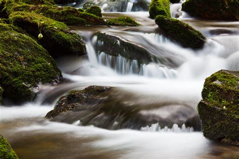 Free Images : abstract, blur, blurred, cascade, fall, flow, flowing, forest, green, moss, motion ...