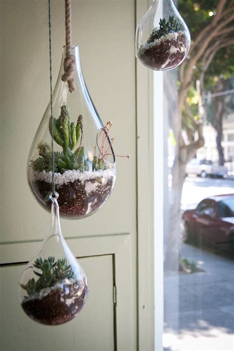 Creating A DIY Hanging Terrarium Is So Easy And The Result Is Fascinating - Top Dreamer