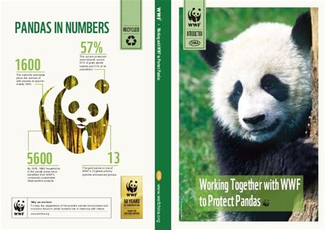 Raising awareness of the WWF's Panda Conservation Projects