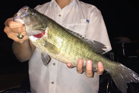 How to Go Fly Fishing in Texas: The Complete Guide