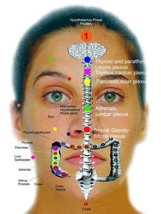 Acupressure Therapy, Acupressure Treatment, Reflexology Chart ...