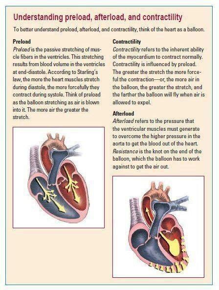 Preload, Afterload, and Contractility | Nursing: My Destiny/Death of me | Pinterest