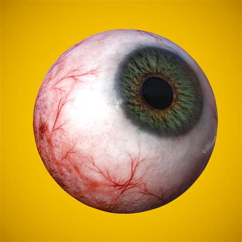 ArtStation - Eye anatomy photorealistic eyeball | Resources