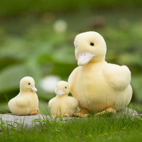 New Cute Duck Plush Toy | Cute ducklings, Yellow duck stuffed animal, Plush animals