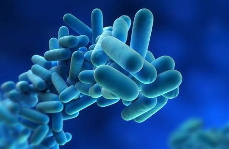 Legionella Bacteria and Legionnaires Disease | Water Treatment Services