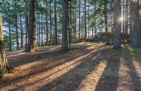 Hiking to Baynes Peak in Salt Spring Island, Canada – Hiking Is Good