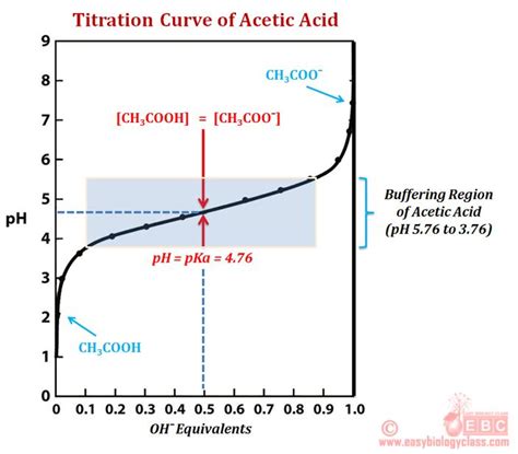 How to Describe a Titration Curve