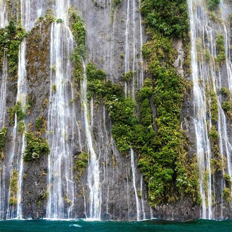 Milford Sound Stunning Waterfalls - Milford Sound