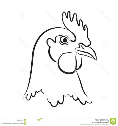 Chicken Head Vector at Vectorified.com | Collection of Chicken Head Vector free for personal use