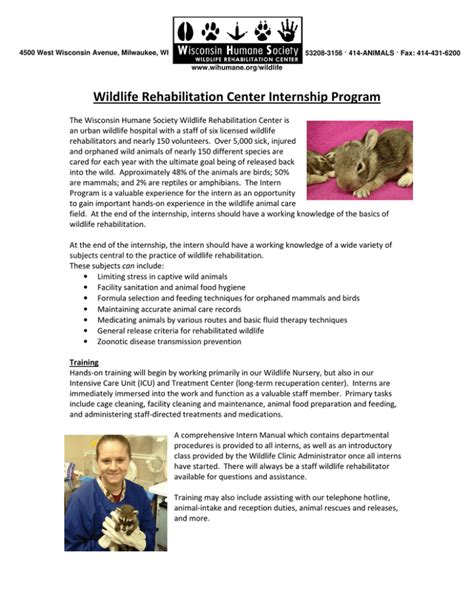 Wildlife Rehabilitation Center Internship Program