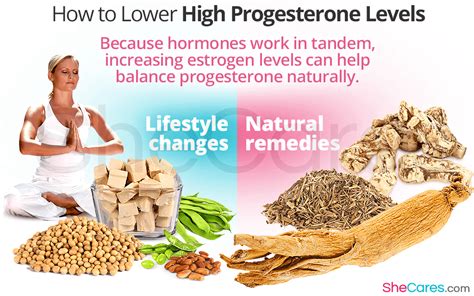 How to Deal With High Progesterone Levels | SheCares