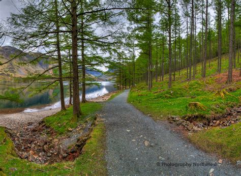 Buttermere path | A path alongside the southern edge of Butt… | Flickr