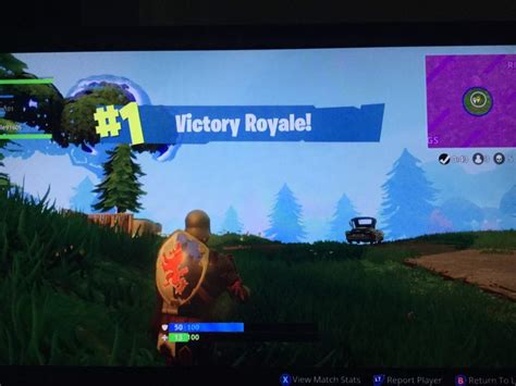 Victory royal with random squad | Fortnite: Battle Royale Armory Amino