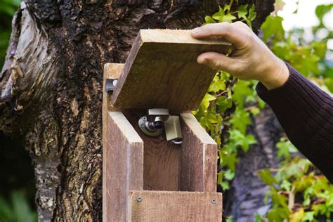 How to Install a Bird Nest Box Camera - BBC Gardeners World Magazine