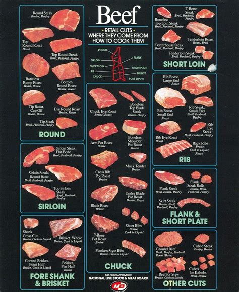 Beef Chart | Cooking, Cooking meat, Food