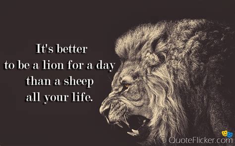 Motivational Quotes Lion And Sheep. QuotesGram