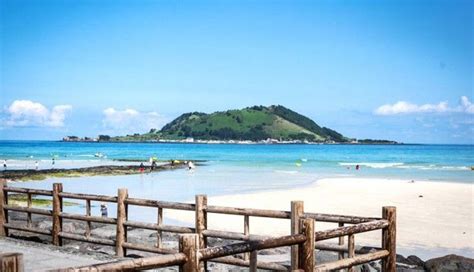 5 Beautiful Beaches To Visit on Jeju Island - lifeberrys.com