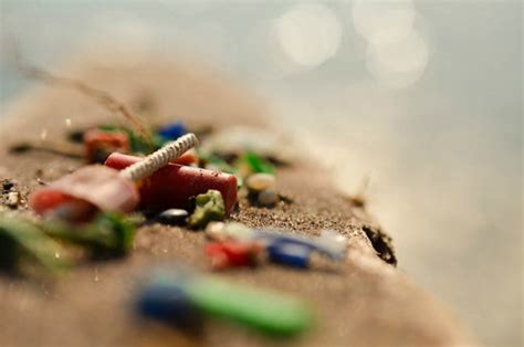 Microplastics in Drinking Water - EcoBlueLife.com