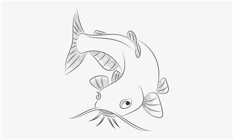 Catfish Drawing Images – Browse 6,863 Stock Photos, Vectors, and Video | Adobe Stock