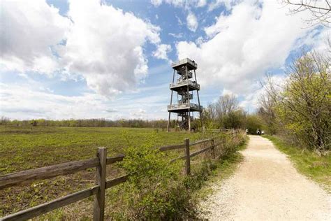 Exploring in Chilton – Nature Center, Caves, Wooden Park & Ice Cream!