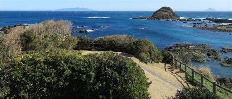 Izu Peninsula | The Expat's Guide to Japan