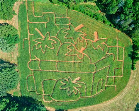 Corn Maze Designs - Jones Strawberry Farm