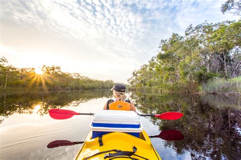 Kayaking the Noosa Everglades - Me & My Travel Bugs